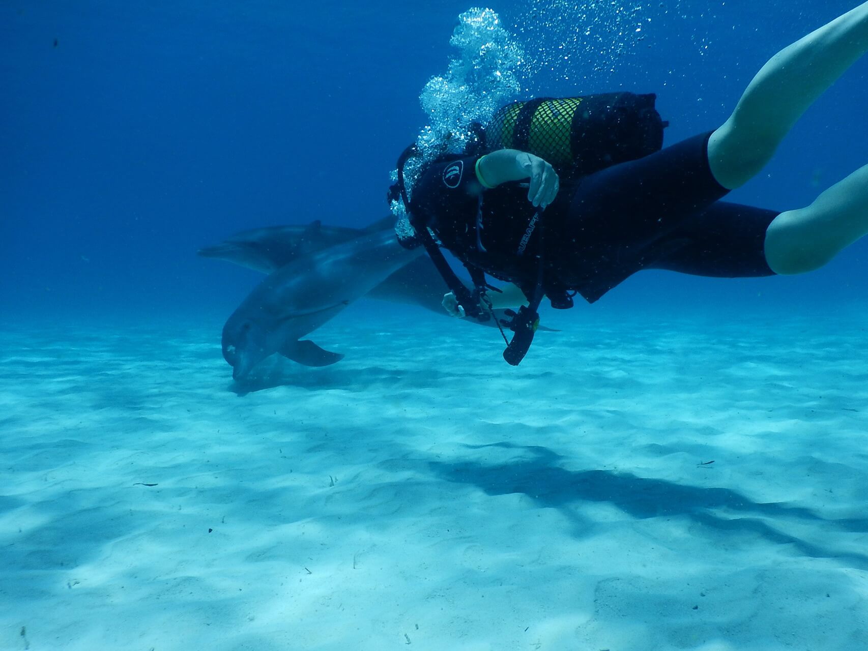 Scuba Diving